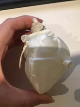 3d imprimível humano coração impressão modelo trio 3d print model - Mito3D