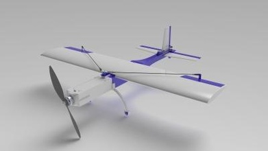 3d printable rc aircraft bowerbird toys games & hobby 3D printing model, file, design, print, 3d print model - Mito3D