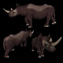 3d printable rhinoceros nature 3D printing model, file, design, print, rhinoceros, rhino, animal, 3d print model - Mito3D