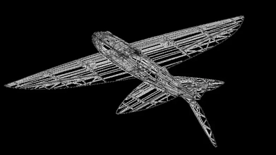 3d impreso volador pez acrobático planeador impresión modelo trío rc 3d print model - Mito3D