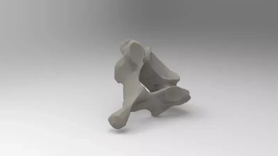 7th cervical vertebra 3d printing model - threeding anatomy science human bone 3d print model - Mito3D