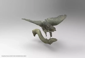accipiter gentil Norte azor 3d impresión modelo trío pájaro naturaleza animal aves halcón águilas buitres 3d print model - Mito3D
