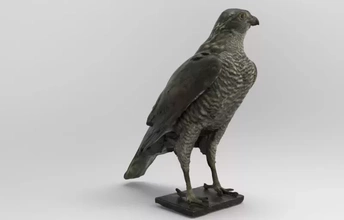 accipiter gentile settentrionale astore 3d stampa modello treding uccello natura animale Oca uccelli falco 3d print model - Mito3D