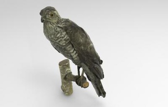 accipiter nisus eurasian sparrowhawk nature 3D printing model, file, printable design, 3d print, Accipiter, nisus, Eurasian, sparrowhawk, bird, animal, birds, 3d print model - Mito3D