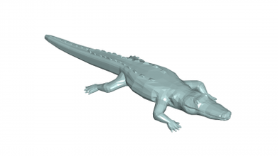 Alligator 3d Modell 3D Drucken Datei druckbar Design drucken 3d print model - Mito3D