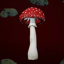 amanita cogumelos 3d impressão modelo trio vermelho natureza plantar verão cogumelo floresta Poção 3d print model - Mito3D