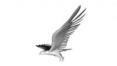 american eagle la naturaleza 3D modelo de impresión, impresión en archivo, imprimibles 3D, diseño 3d, el águila, naturaleza, animales, aves 3d print model - Mito3D