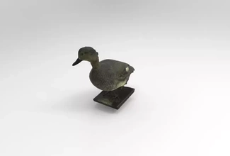 anas strepera gadwall 3d printing model - threeding bird nature animal duck birds 3d print model - Mito3D