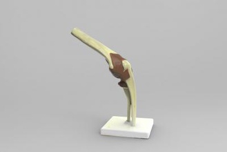 anatomical model elbow joint science 3D printing model, file, printable design, 3d print, 12 anatomical, elbow, joint, anatomy, science, human 3d print model - Mito3D