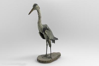 ardea cinerea grey heron nature 3D printing model, file, printable design, 3d print, Ardea, cinerea, grey, heron, bird, birds, animal, nature, europe, asia 3d print model - Mito3D