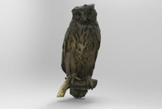 bubo eurasian eagle-owl nature 3D printing model, file, printable design, 3d print, Eurasian, eagle, owl, Bubo, bubo, bird, birds, animal, 3d print model - Mito3D