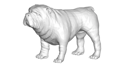 bulldog 3d modello stampa treding 3d print model - Mito3D