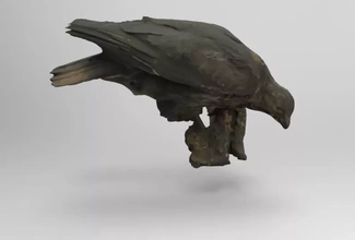 buteo verbreitet Bussard 3d Drucken Modell dreiding Vogel Natur Tier Vögel 3d print model - Mito3D