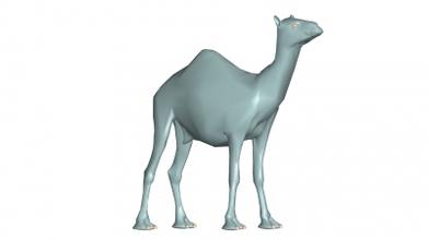 camel 3d model nature 3D printing model, file, printable design, print, CAMEL 3d print model - Mito3D