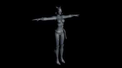 catwoman Natur 3D-Druck-Modell, 3D-Druck-Datei, 3D-druckbares Modell, 3D-Druck, design, 3d-drucken, Catwoman 3d print model - Mito3D