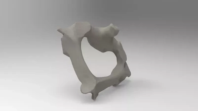cervical vertèbres 3d impression modèle trio anatomie science Humain OS 3d print model - Mito3D