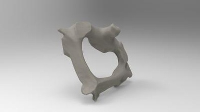 cervical vertebrae science 3D printing model, file, printable design, 3d print, anatomy, science, human, bone, cervical, 3d print model - Mito3D