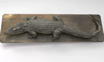 chinois alligator 3d impression modèle trio nature animal anatomie science 3d print model - Mito3D