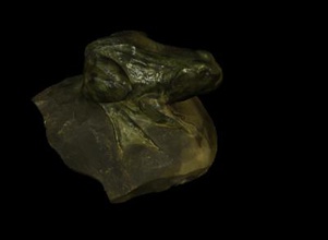 common frog Natur 3D-Druck-Modell, 3D-Druck-Datei, 3D-druckbares Modell, 3D-Druck, Gestaltung, Druck 3d, Common, Frosch, Natur, Wissenschaft, Europa, 10/5000 zemnovodni Amphibien, Rana, temporaria 3d print model - Mito3D