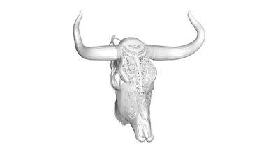 mucca cranio 3d stampa modello treding 3d print model - Mito3D