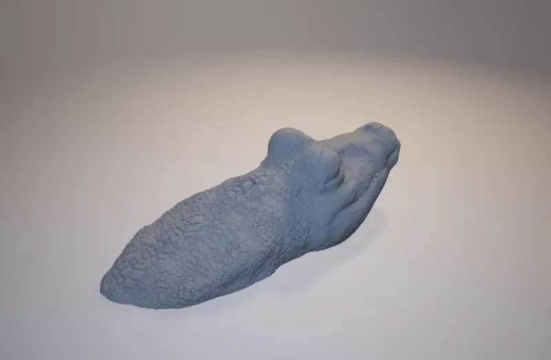 coccodrillo porta tappo 3d stampa modello treding 3D print model - Mito3D