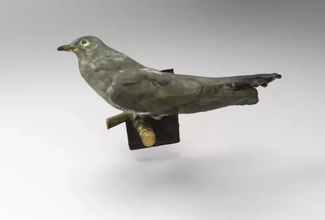 guguk kuşu Şarkı söyleme Yaygın 3d baskı model üçleme kuş doğa hayvan Avrupalı kuşlar 3d print model - Mito3D