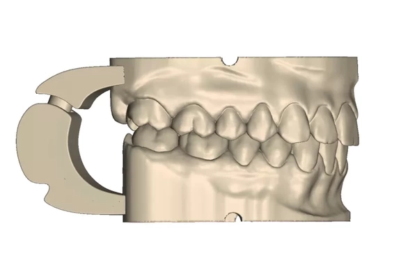 dentale pratica modello kit 3d stampa treding tag bocca denti mascella printing 3d print model - Mito3D