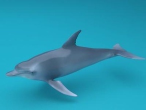 dolphin 3d model 3D Drucken Modell Datei druckbar Design drucken Model 3d print model - Mito3D
