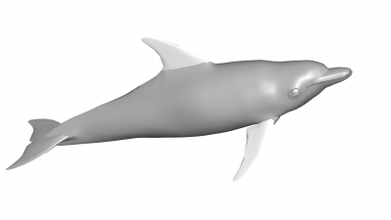 Yunus 3d model 3D baskı dosya yazdırılabilir tasarım Yazdır dolphin Model 3d print model - Mito3D
