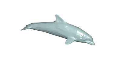 dolphin 3d model printing - threeding 3d print model - Mito3D
