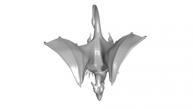 dragon 3d model 3D printing model, file, printable design, print, Dragon 3d print model - Mito3D