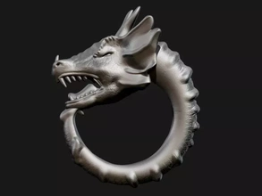 dragon ring 3d printing model - threeding fashion jewel jewelery 3d print model - Mito3D