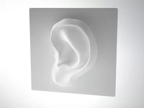 orecchio pannello scultura 3d stampa modello treding bio 3d print model - Mito3D