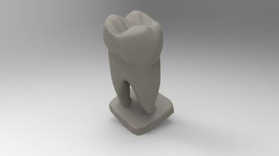 modelo de educación diente humano la ciencia 3D impresión, impresión en archivo, imprimibles 3D, diseño 3d, anatomía, ciencia, humanos, hueso, educación, humanas, dientes 3d print model - Mito3D
