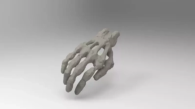 Eğitim model yapı insan el 3d baskı üçleme anatomi Bilim kemik 3d print model - Mito3D