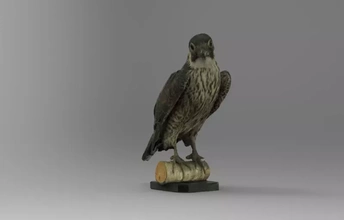 faucon étranger pèlerin 3d impression modèle trio oiseau nature animal 3d print model - Mito3D