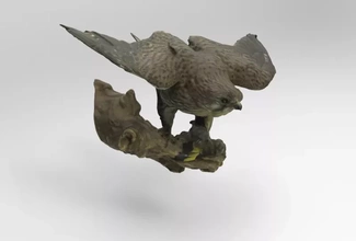 Falke Tinnunkel verbreitet Turmfalke 3d Drucken Modell dreiding Vogel Natur Tier Vögel 3d print model - Mito3D