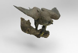 falco tinnunculus common kestrel nature 3D printing model, 3D printing file, 3D printable model, 3D printing design, 3d print, Falco, tinnunculus, common, kestrel, bird, birds, animal, nature