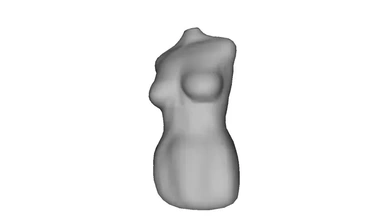 femmina torso 3d stampa modello treding tronco 3d print model - Mito3D