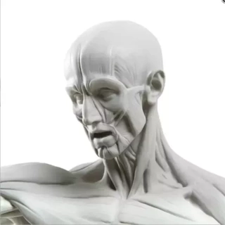 flayeli adam Ecorche high quality insan vücut 3d Yazdır model baskı heykel anatomi 3dprinting tıbbi 3dmodeling dijital sanat 3dprintmodel yazdırılabilir artreferans vücudu sanatçı araçları referansı anatomik Anatomi sanatı resim Sanat eğitimi anatomisi referans sanatsal 3d print model - Mito3D