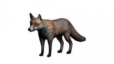 fox 3d model nature 3D printing model, file, printable design, print, FOX 3d print model - Mito3D