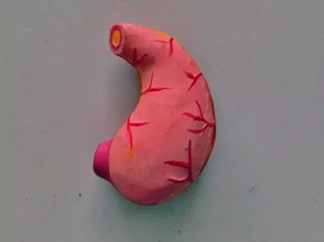 gallbladder 3d printing model - threeding anatomy human gall scince 3d print model - Mito3D