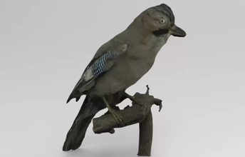 bavarder glandaire eurasien geai 3d impression modèle trio oiseau animal oiseaux 3d print model - Mito3D