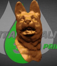 german shepherd dog head nature 3D printing model, file, printable design, 3d print, German 3d print model - Mito3D