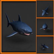 great white shark toys games & hobby 3D printing model, file, printable design, 3d print, pointer death Carcharodon carcharias fish marine water ocean jaws tooth freshwater aquarium predator abiss 3d print model - Mito3D