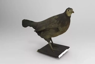 queja 3d impresión modelo trío pájaro naturaleza animal aves 3d print model - Mito3D