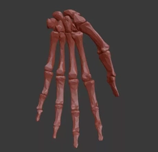 mão ossos 3d impressão modelo trio anatomia esqueleto humano osso carpal metacarpo falange falanges navicular lunar trapézio piramidal pisiforme hamato acontecer 3d print model - Mito3D