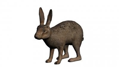 hare 3d model nature 3D printing model, file, printable design, print, Hare 3d print model - Mito3D