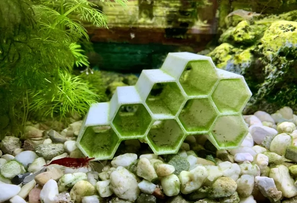 honeycomb shrimp juvenile fish hideaway 3d printing model - threeding tags decoration deco aquarium deko dekoration fischh hle unterwasserh underwatercave versteck garnelen hiding place tunnel shrimptunnel garnelentunnel waben garnelenversteck shrimphidingplace fischcave 3d print model - Mito3D