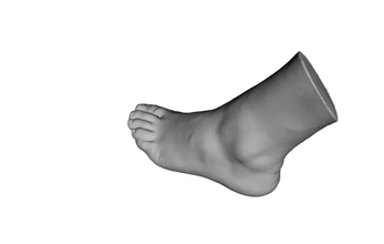 humano pés 3d impressão modelo trio perna 3d print model - Mito3D